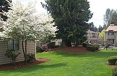 Photo34715