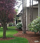 Photo34716